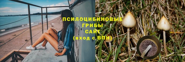 амф Абаза